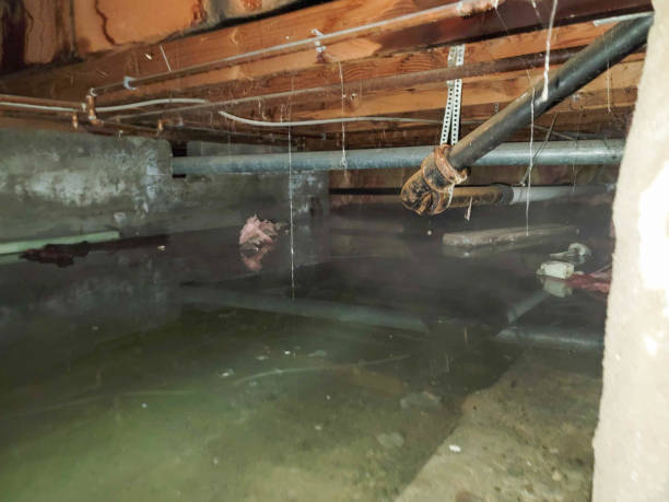 Best Fire Damage Restoration  in Natchez, MS