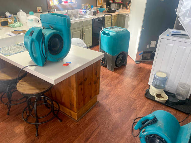 Best Ceiling water damage repair  in Natchez, MS