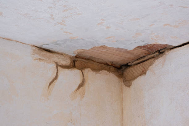Water damage restoration experts in MS