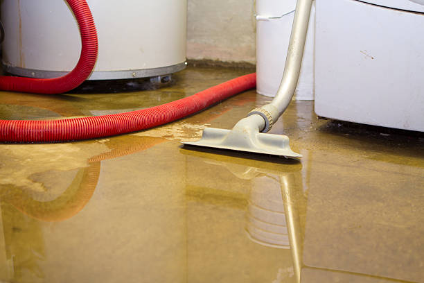 Best Commercial water damage restoration  in Natchez, MS