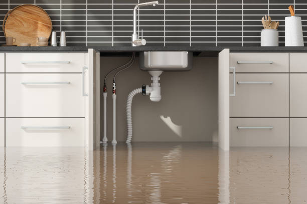Best Flood damage cleanup  in Natchez, MS