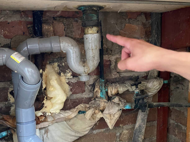 Best 24/7 water damage repair  in Natchez, MS