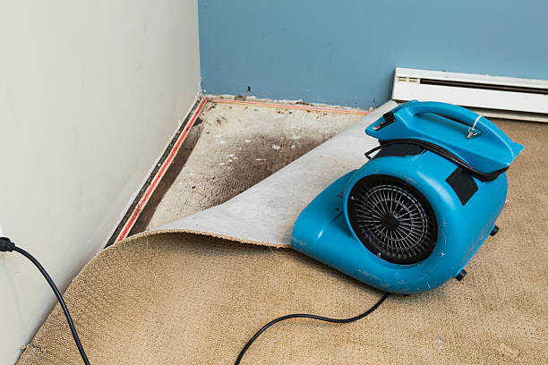 Best Emergency water damage restoration  in Natchez, MS